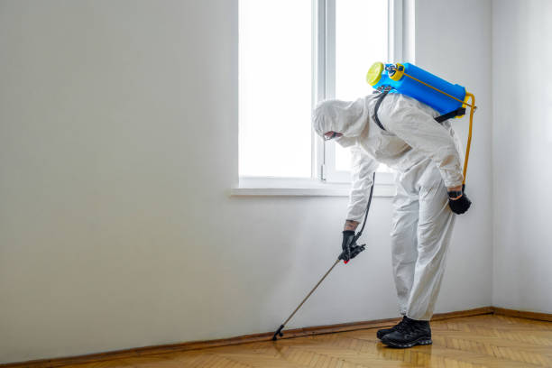 Best Pest Removal Services  in Church Rock, NM