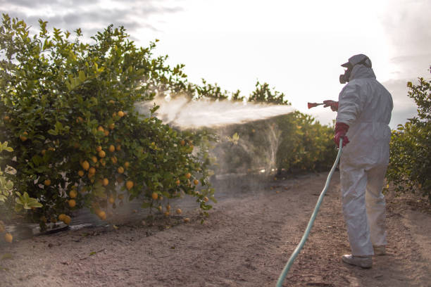 Pest Prevention Services in Church Rock, NM