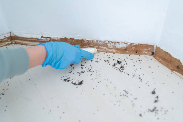 Best Pest Prevention Services  in Church Rock, NM